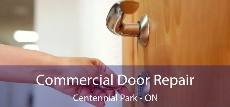  Commercial Door Repair Centennial Park - ON