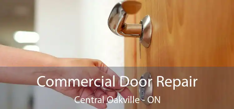  Commercial Door Repair Central Oakville - ON