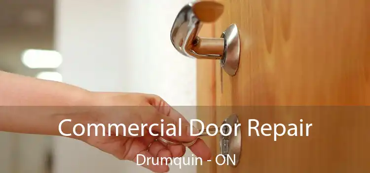  Commercial Door Repair Drumquin - ON