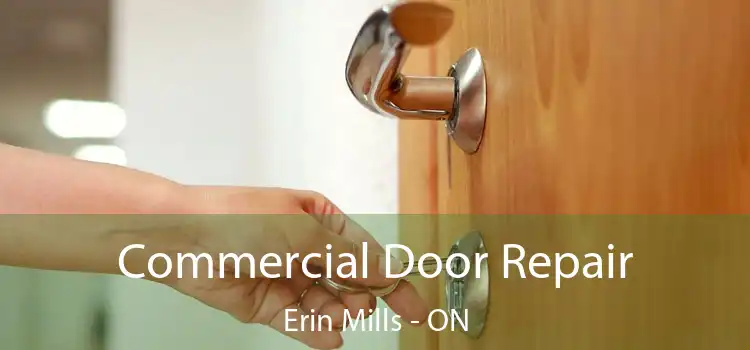  Commercial Door Repair Erin Mills - ON