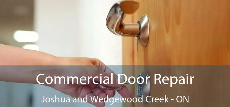  Commercial Door Repair Joshua and Wedgewood Creek - ON