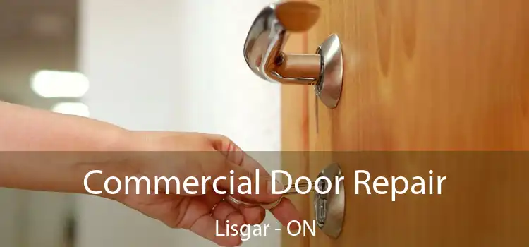  Commercial Door Repair Lisgar - ON