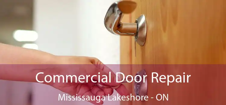  Commercial Door Repair Mississauga Lakeshore - ON