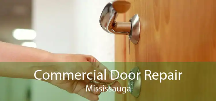  Commercial Door Repair Mississauga