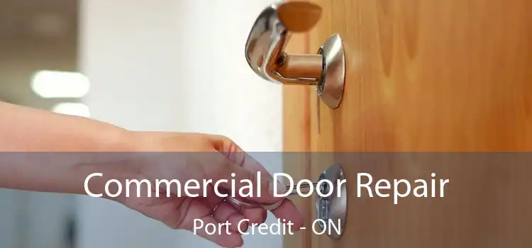  Commercial Door Repair Port Credit - ON