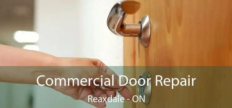  Commercial Door Repair Reaxdale - ON