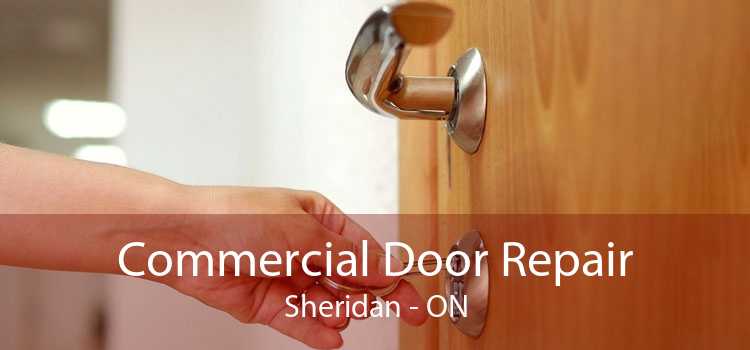 Commercial Door Repair Sheridan - ON