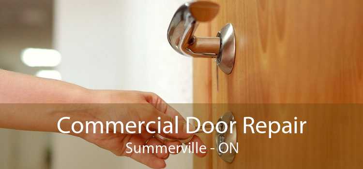 Commercial Door Repair Summerville - ON