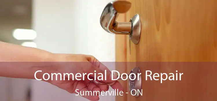  Commercial Door Repair Summerville - ON