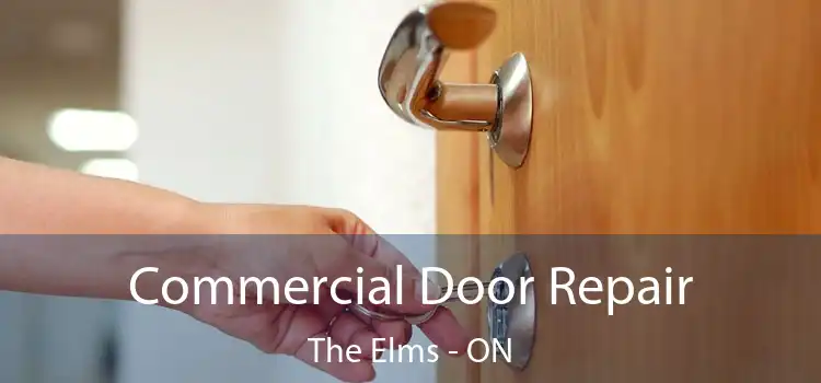  Commercial Door Repair The Elms - ON