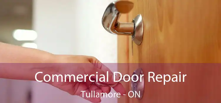  Commercial Door Repair Tullamore - ON