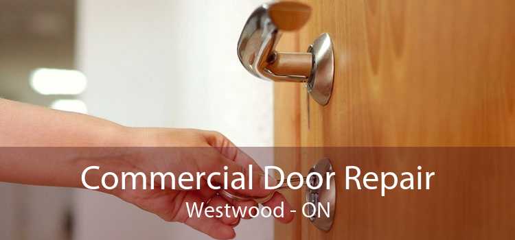 Commercial Door Repair Westwood - ON