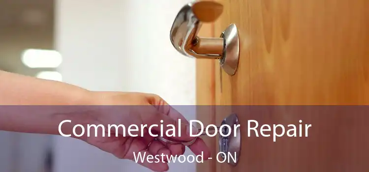  Commercial Door Repair Westwood - ON