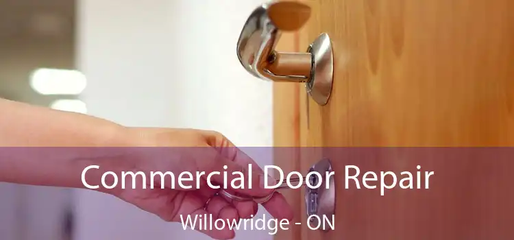  Commercial Door Repair Willowridge - ON