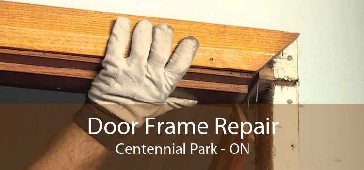 Door Frame Repair Centennial Park - ON