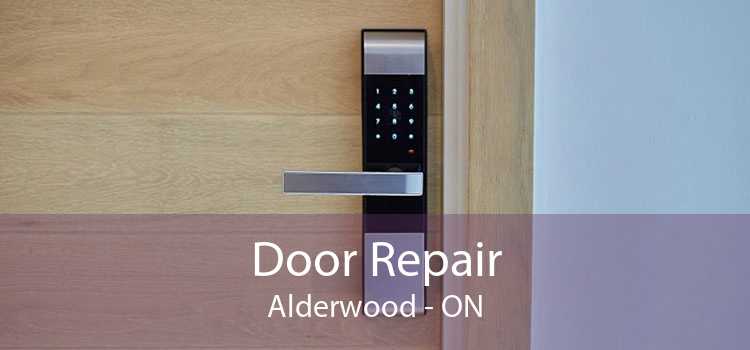 Door Repair Alderwood - ON