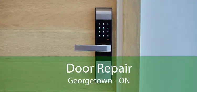  Door Repair Georgetown - ON