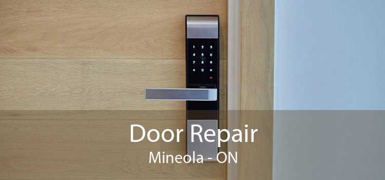 Door Repair Mineola - ON