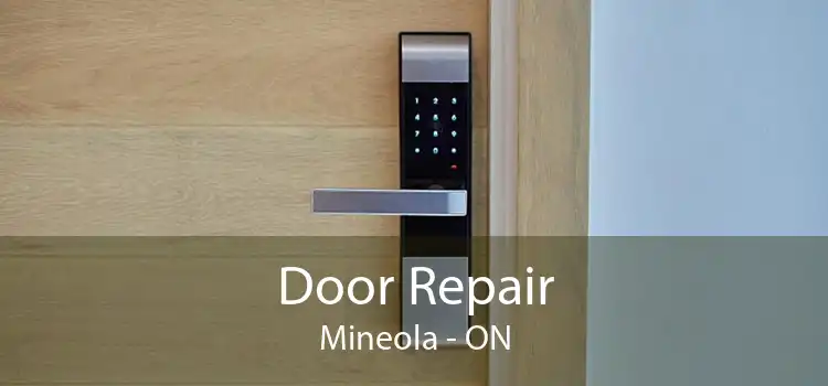  Door Repair Mineola - ON