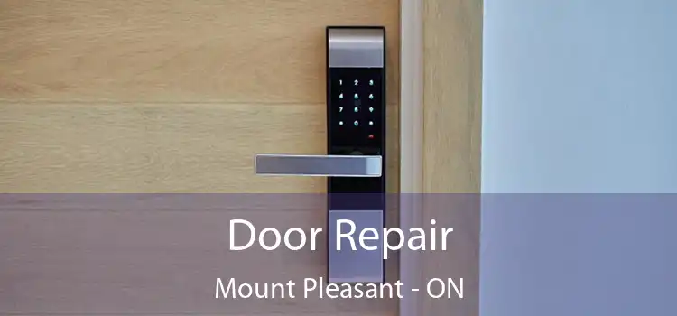  Door Repair Mount Pleasant - ON