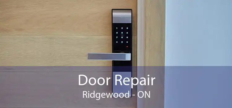  Door Repair Ridgewood - ON