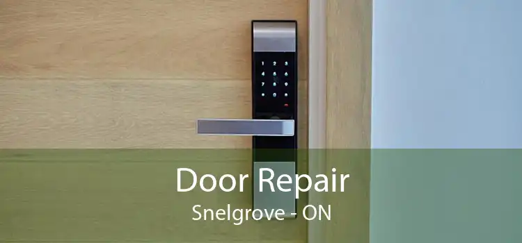  Door Repair Snelgrove - ON