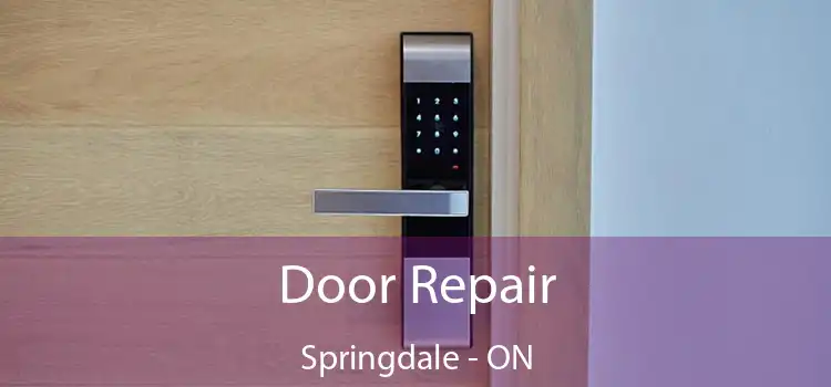  Door Repair Springdale - ON