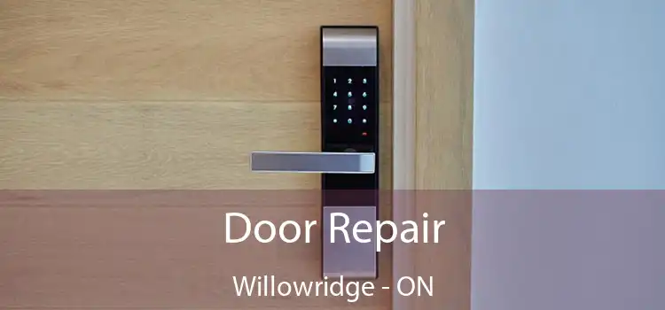  Door Repair Willowridge - ON