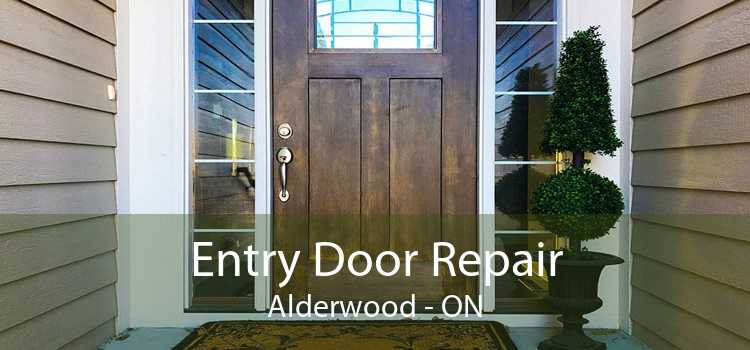 Entry Door Repair Alderwood - ON