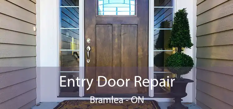  Entry Door Repair Bramlea - ON
