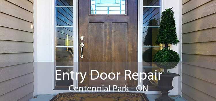 Entry Door Repair Centennial Park - ON