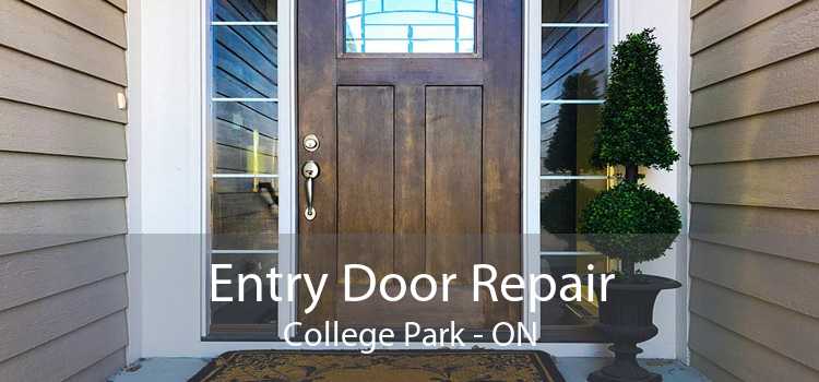 Entry Door Repair College Park - ON