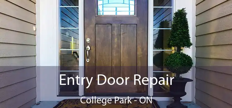  Entry Door Repair College Park - ON