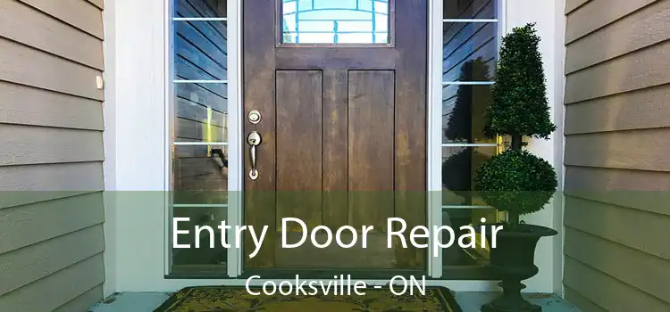  Entry Door Repair Cooksville - ON