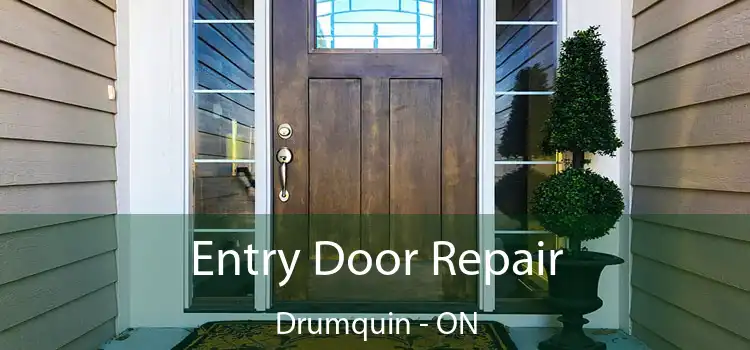  Entry Door Repair Drumquin - ON