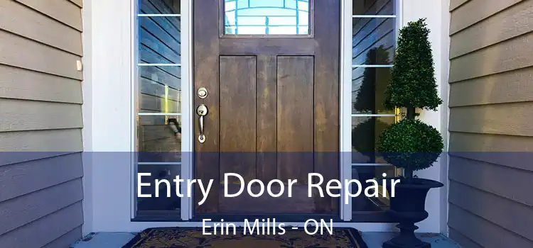  Entry Door Repair Erin Mills - ON
