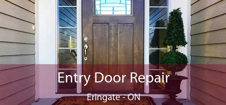  Entry Door Repair Eringate - ON