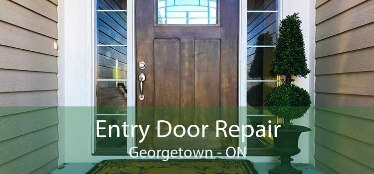 Entry Door Repair Georgetown - ON