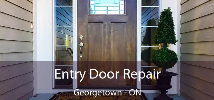  Entry Door Repair Georgetown - ON