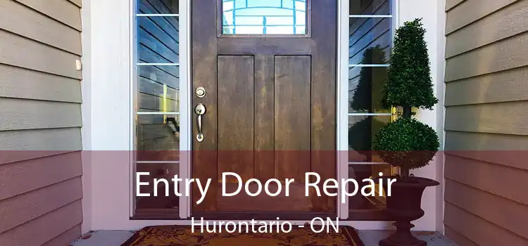  Entry Door Repair Hurontario - ON