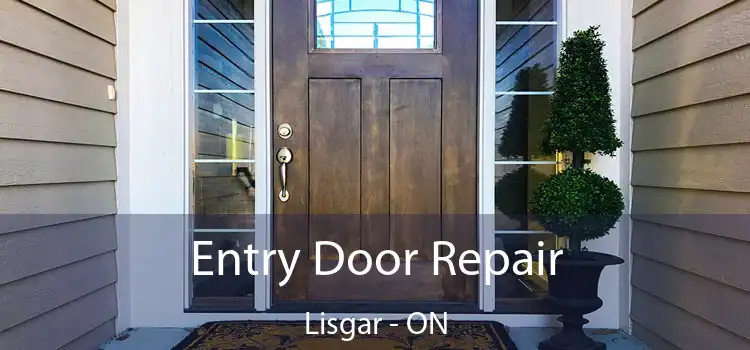  Entry Door Repair Lisgar - ON