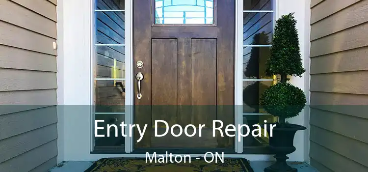  Entry Door Repair Malton - ON