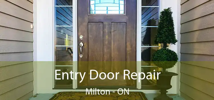  Entry Door Repair Milton - ON