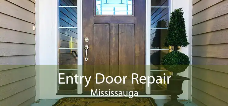  Entry Door Repair Mississauga