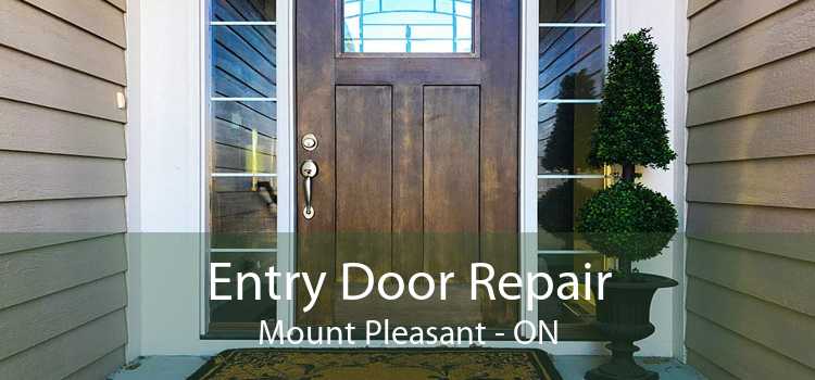 Entry Door Repair Mount Pleasant - ON