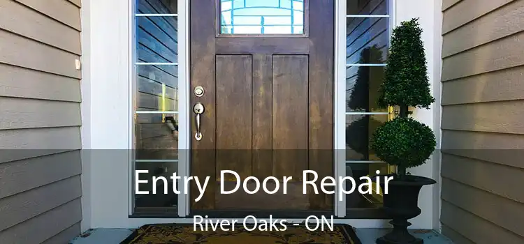  Entry Door Repair River Oaks - ON