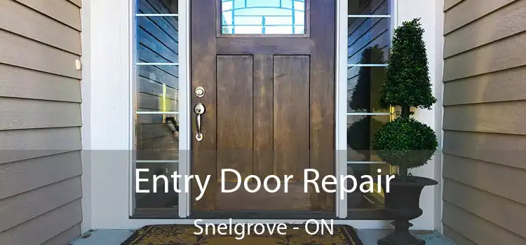  Entry Door Repair Snelgrove - ON