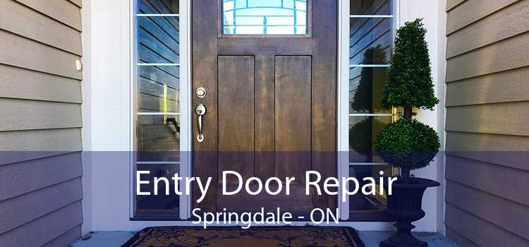 Entry Door Repair Springdale - ON