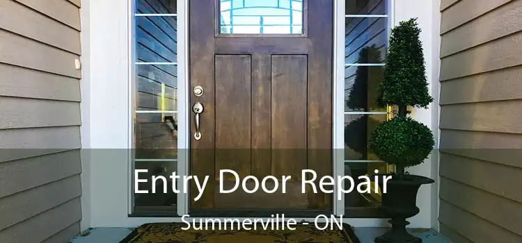 Entry Door Repair Summerville - ON
