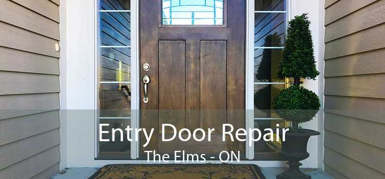 Entry Door Repair The Elms - ON